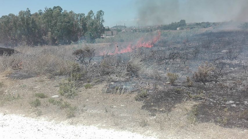 “Fiamme nel cuore di Molentargius, la paura di mio cognato disabile: evacuato col fuoco a due passi”
