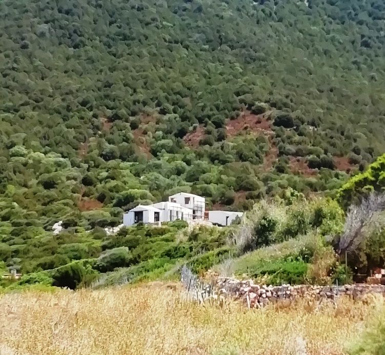 Tavolara, la denuncia dei turisti e del Grig: “Un cantiere edilizio sull’isola?”