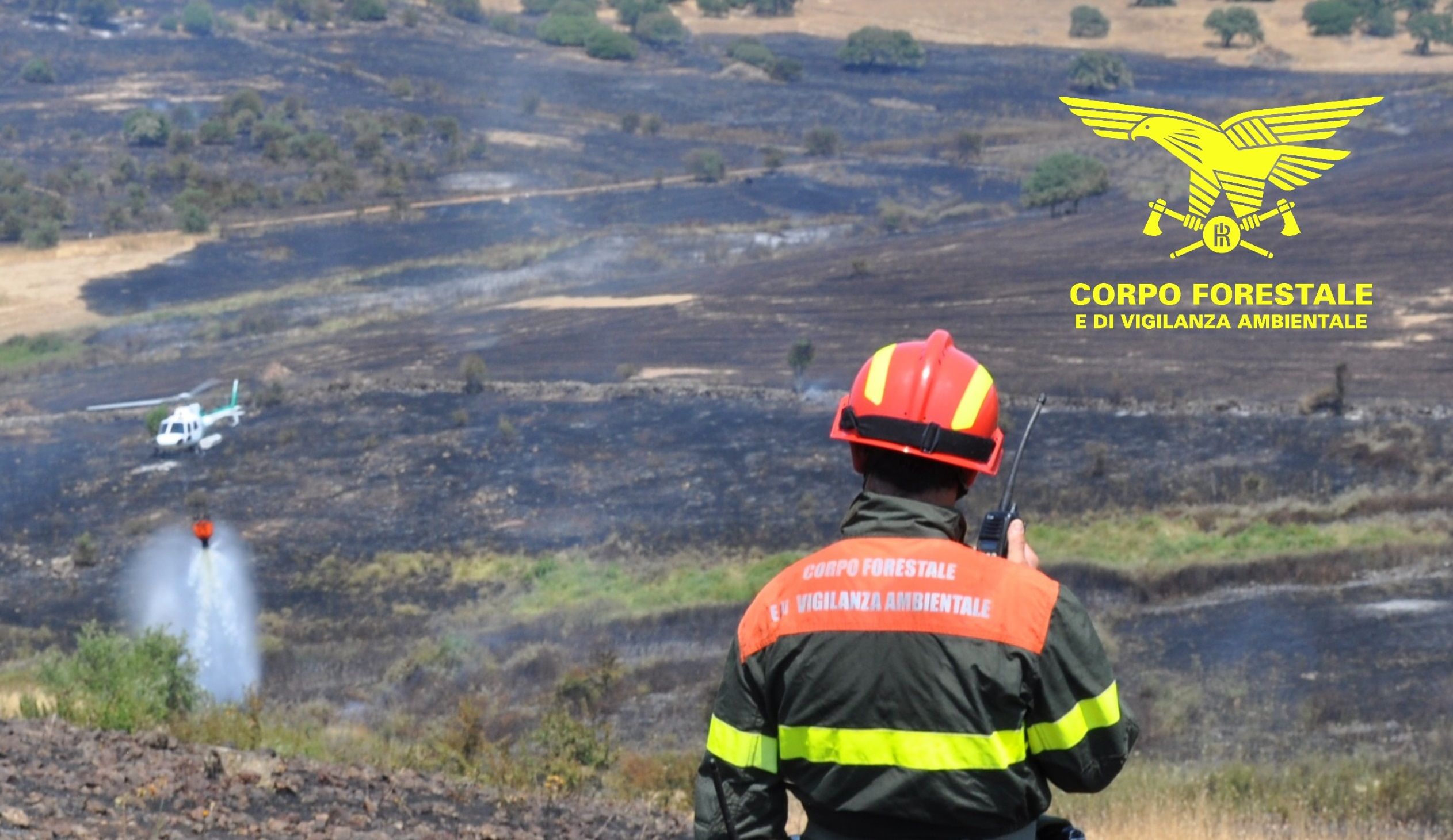 Quattro incendi in corso in Sardegna: squadre a terra e mezzi aerei in azione