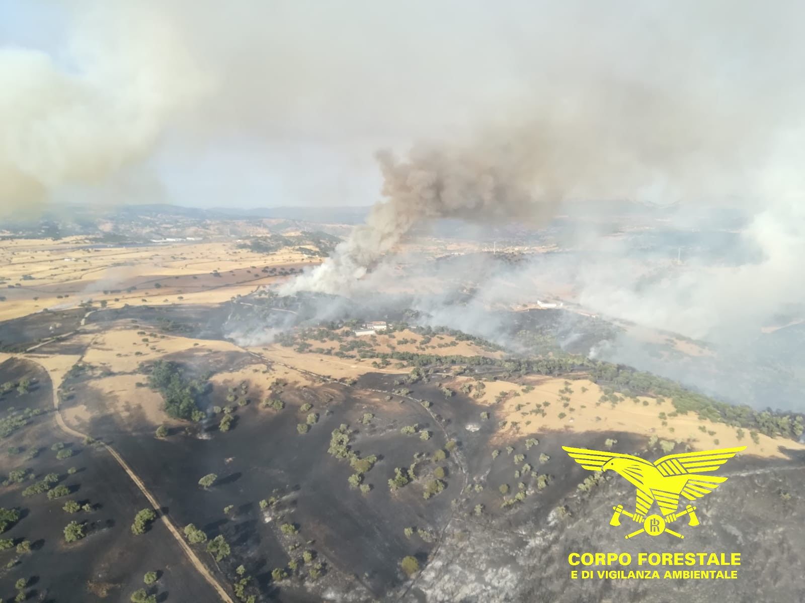 Inferno di fuoco a Bitti, 1000 ettari distrutti dalle fiamme: malore per un volontario