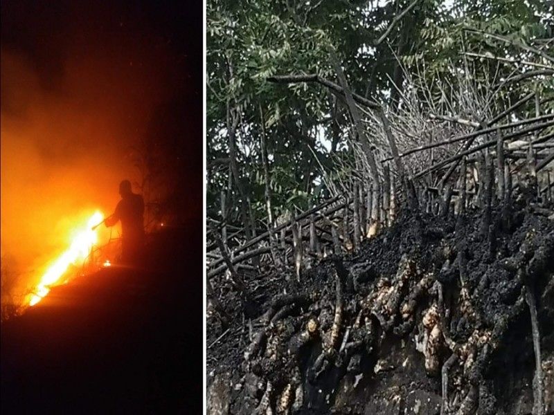Calamosca brucia nella notte, fiamme in spiaggia vicinissime alla strada