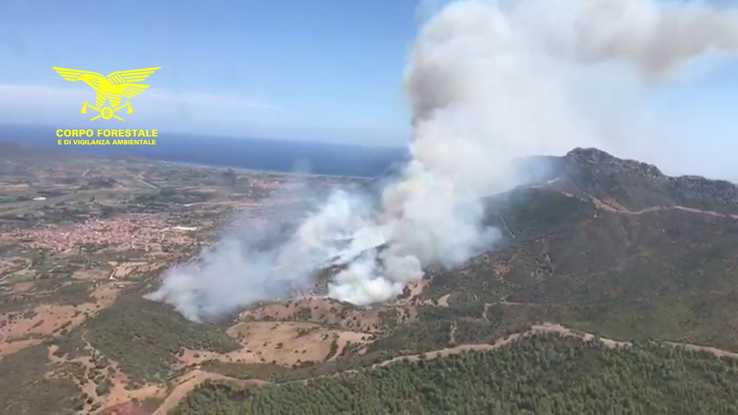 Incendio infernale a Torpè, fiamme ingrossate dal vento: in azione anche 4 canadair