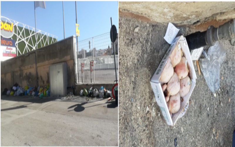 Rifiuto selvaggio a Cagliari, mosche e blatte “danzano” sulla spazzatura in viale La Plaia
