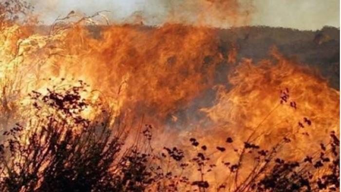 Combattere il fuoco con il fuoco, una pratica antica come la prevenzione