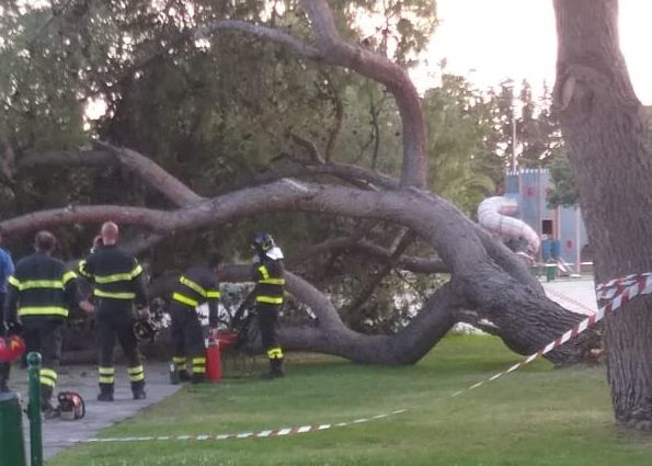 Terrore a Quartu, pino crolla nel parco Parodi durante una festa di compleanno: 5 feriti
