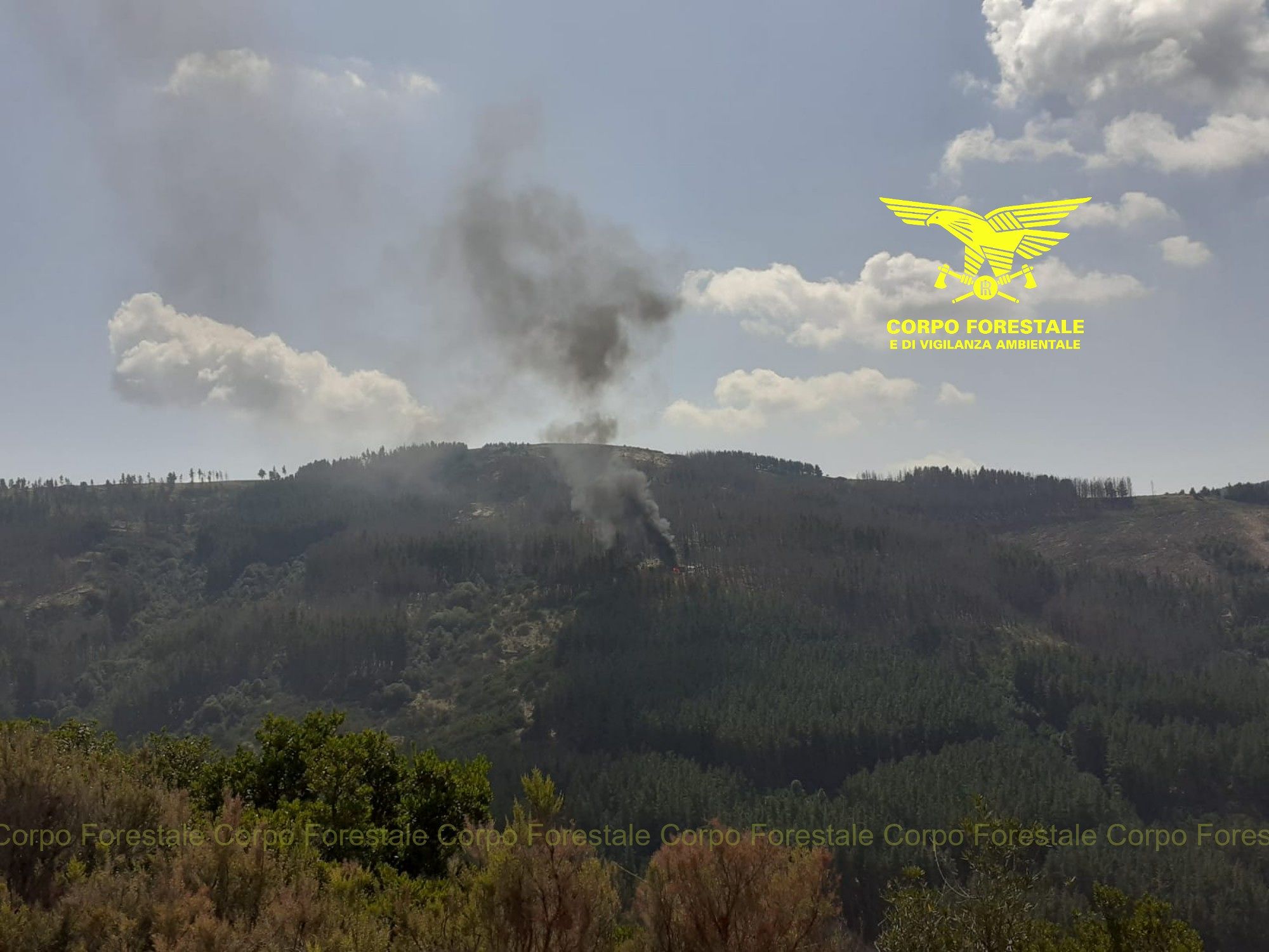 Ancora roghi in Sardegna: fiamme a Nureci, Collinas e Seui