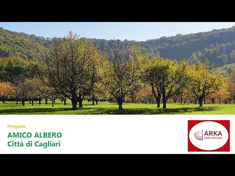 NoPlanetB, anche a Cagliari un progetto contro l’emergenza climatica: ecco come votarlo
