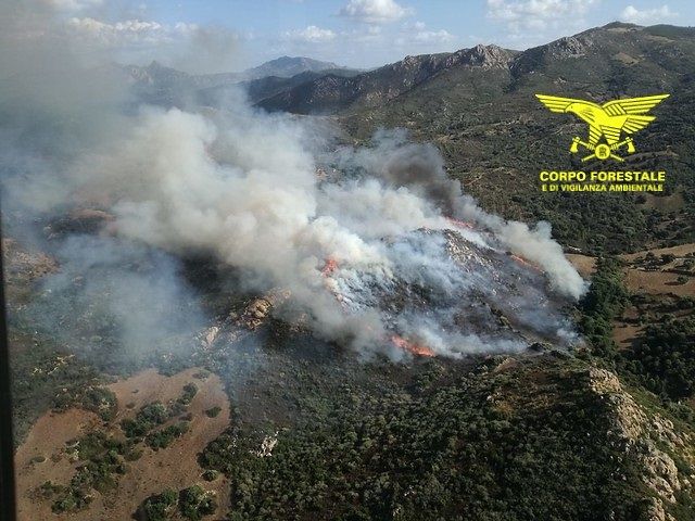 Incendio nelle campagne di Osilo: in fumo 2500 metri quadri di macchia mediterranea