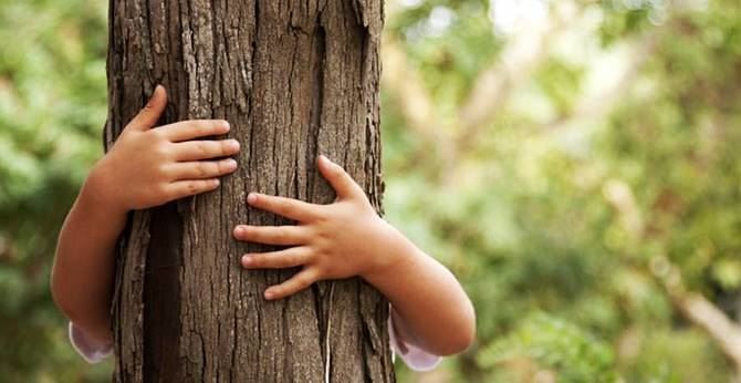 Quartu, svolta green: “Un albero per ogni nuovo nato nei giardini delle scuole”
