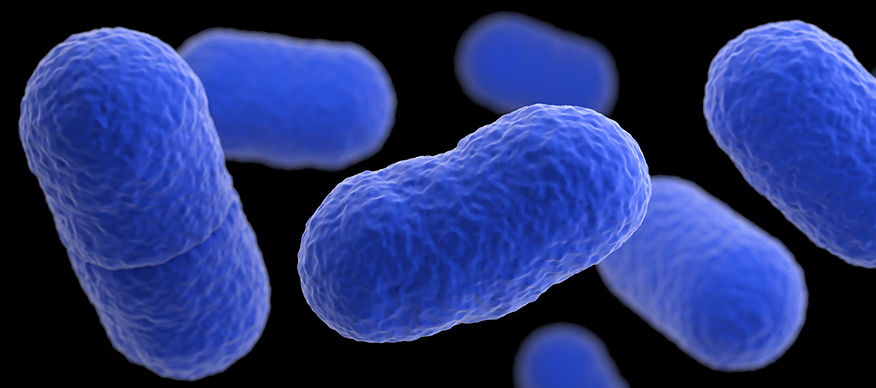 Allerta alimentare globale per Listeria nel salame tedesco della Wilke, due morti