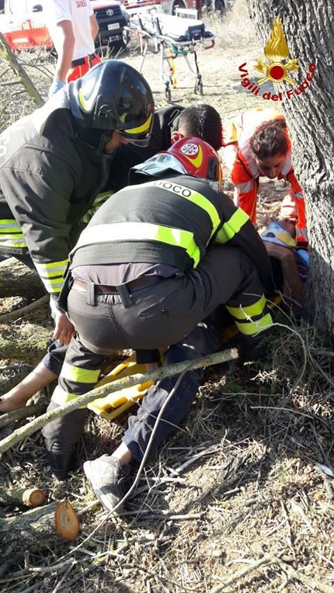 Samassi, agricoltore rimane incastrato mentre taglia un grosso albero: salvato dai vigili del fuoco