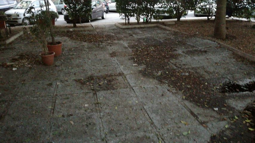 Cagliari, abitanti in rivolta in via Cavalcanti: “Carcasse di piccioni, guano e rifiuti: aria irrespirabile”