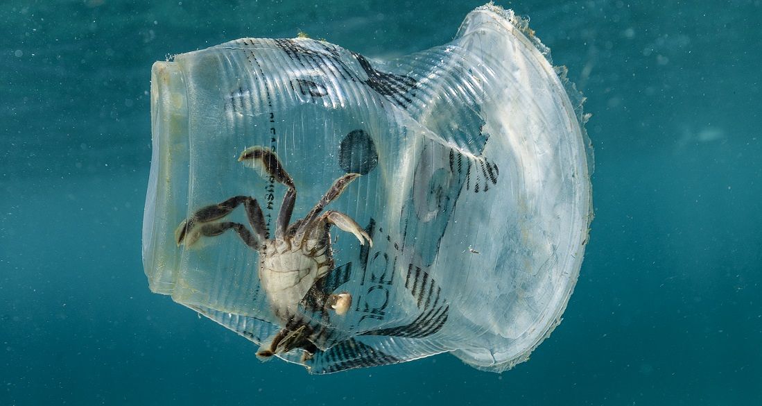 Tolti dal commercio posate, bicchieri e piatti in plastica. La scelta di Spesati.it, supermercato a domicilio