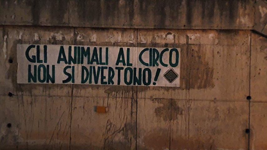 Cagliari, la clamorosa protesta al circo: “Gli animali qui non si divertono”
