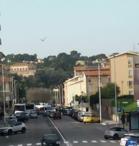 Cagliari, brutto incidente in via dei Donoratico: ci sono feriti, ambulanza sul posto e traffico bloccato
