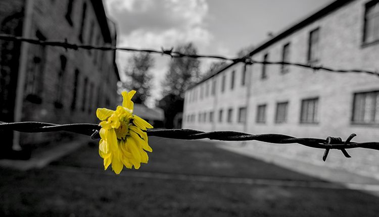 Giorno della Memoria, a Sassari  protagoniste le scuole del territorio
