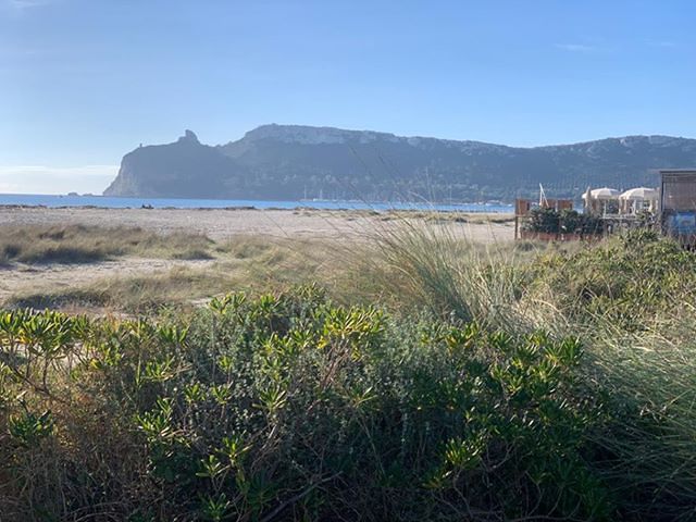 Sardegna, è straordinariamente esplosa la primavera in anticipo: oltre dieci gradi oltre la media stagionale