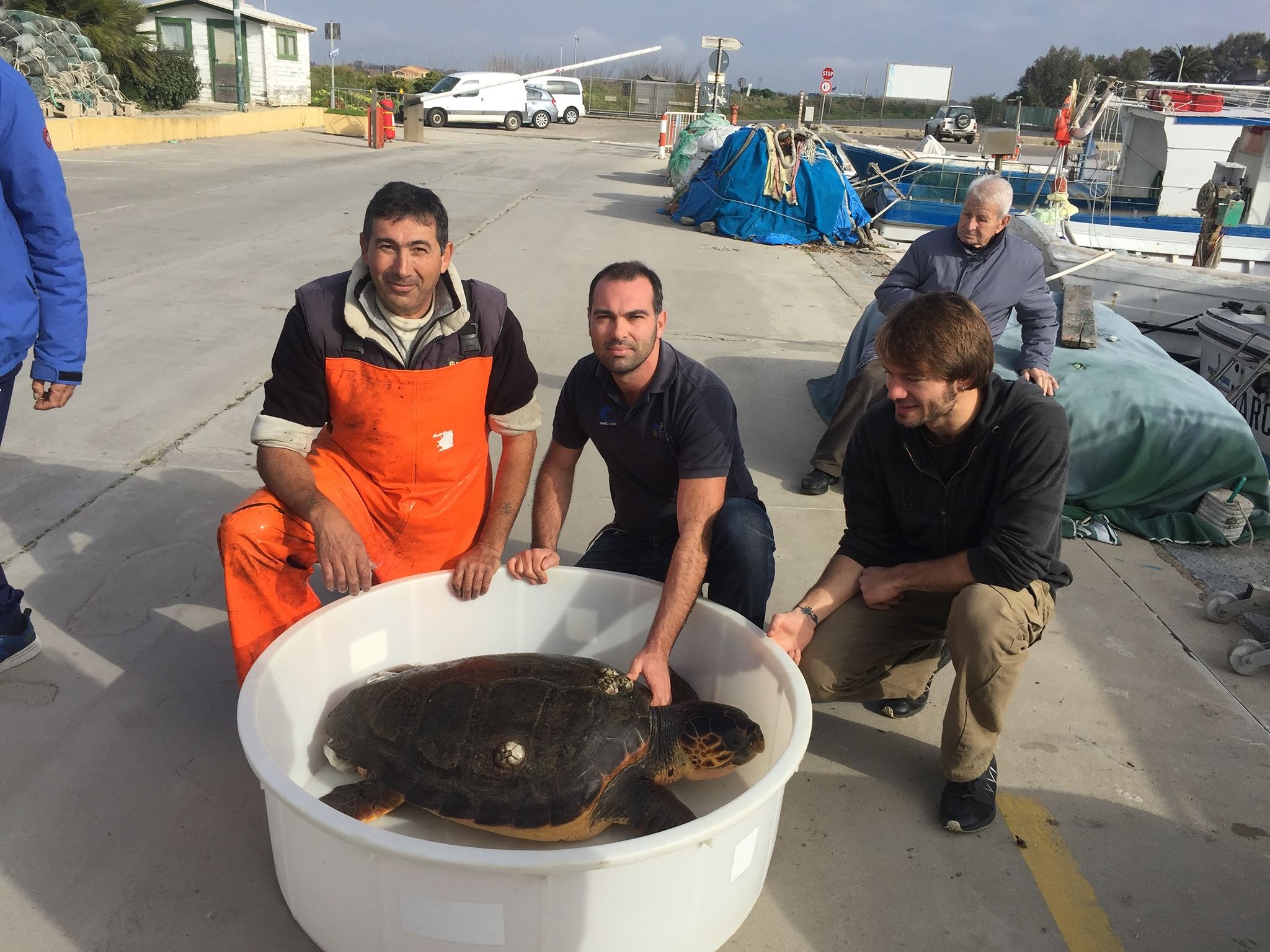 Oristano, splendido esemplare di Caretta Caretta in difficoltà incastrato nelle reti di un pescatore: salvato