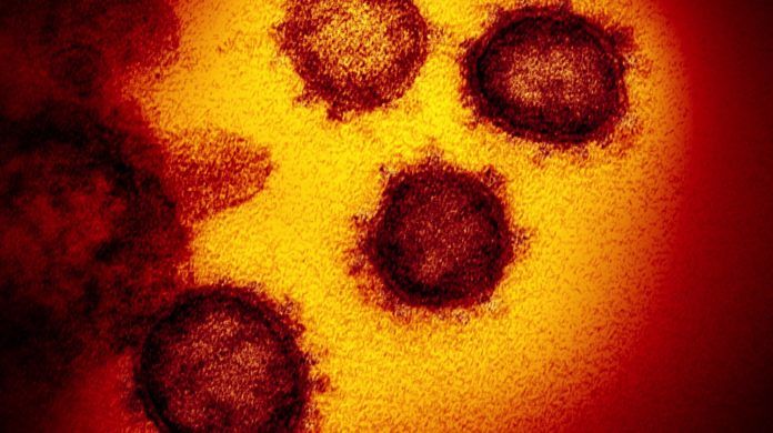 Coronavirus, Assessore Nieddu: “Massima attenzione, Sardegna pronta a ogni evenienza”