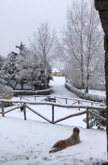 L’inverno è arrivato a fine marzo: il bellissimo paesaggio fiabesco a Fonni – VIDEO