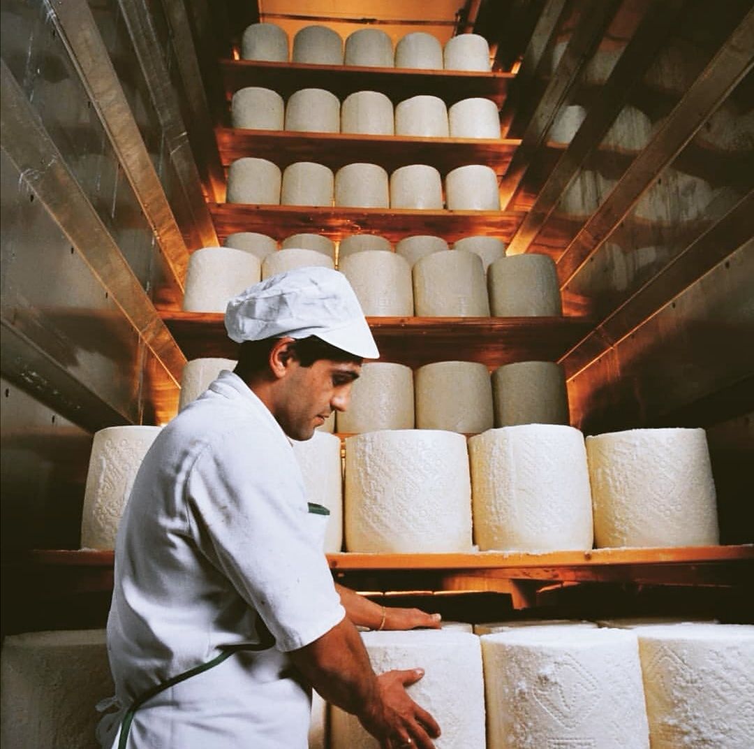 Sardi in casa ma pazzi per il formaggio: in tempi di pandemia aumenta a dismisura il consumo del pecorino