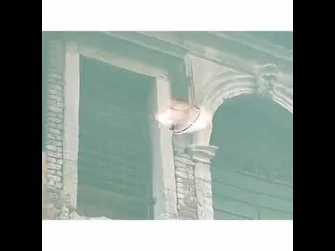 Venezia, nei canali a pochi passi da San Marco spunta una grande medusa – VIDEO