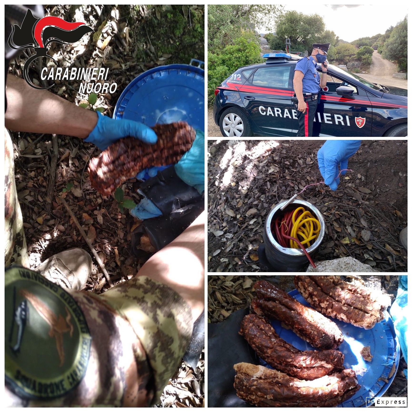 Quattro chili di esplosivo e detonatori nelle campagne di Talana: la scoperta dei carabinieri