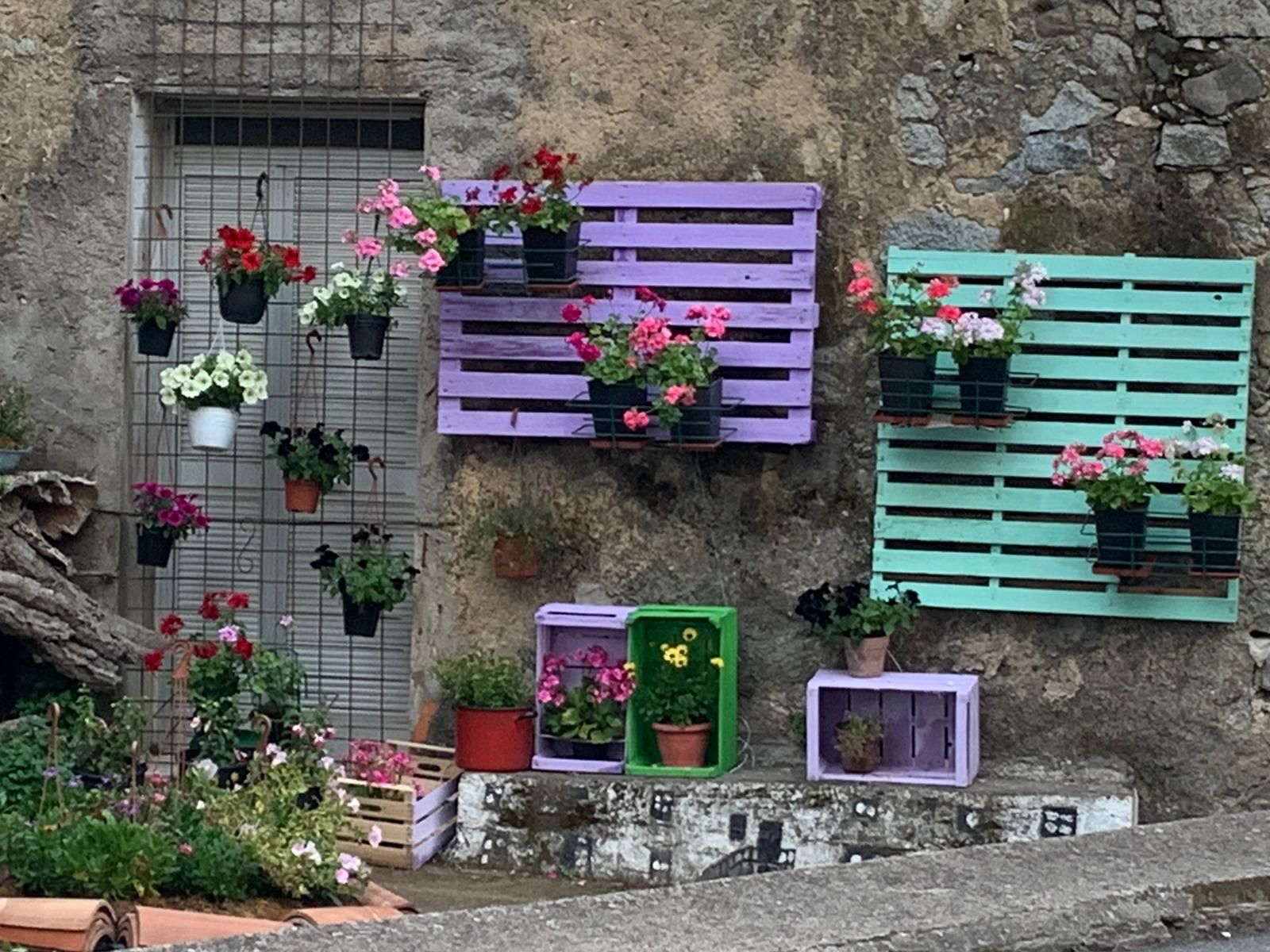 Bitti, consegnate oltre mille piante per colorare le vie del paese