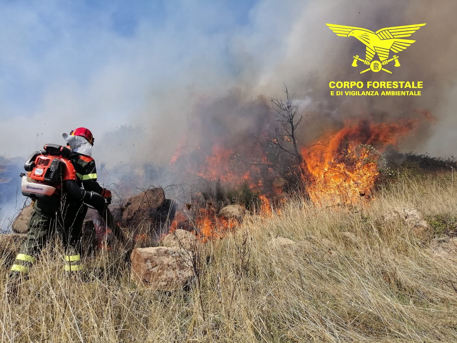 Sardegna al rogo, oggi 21 incendi: ad Arbus e Orani in azione gli elicotteri