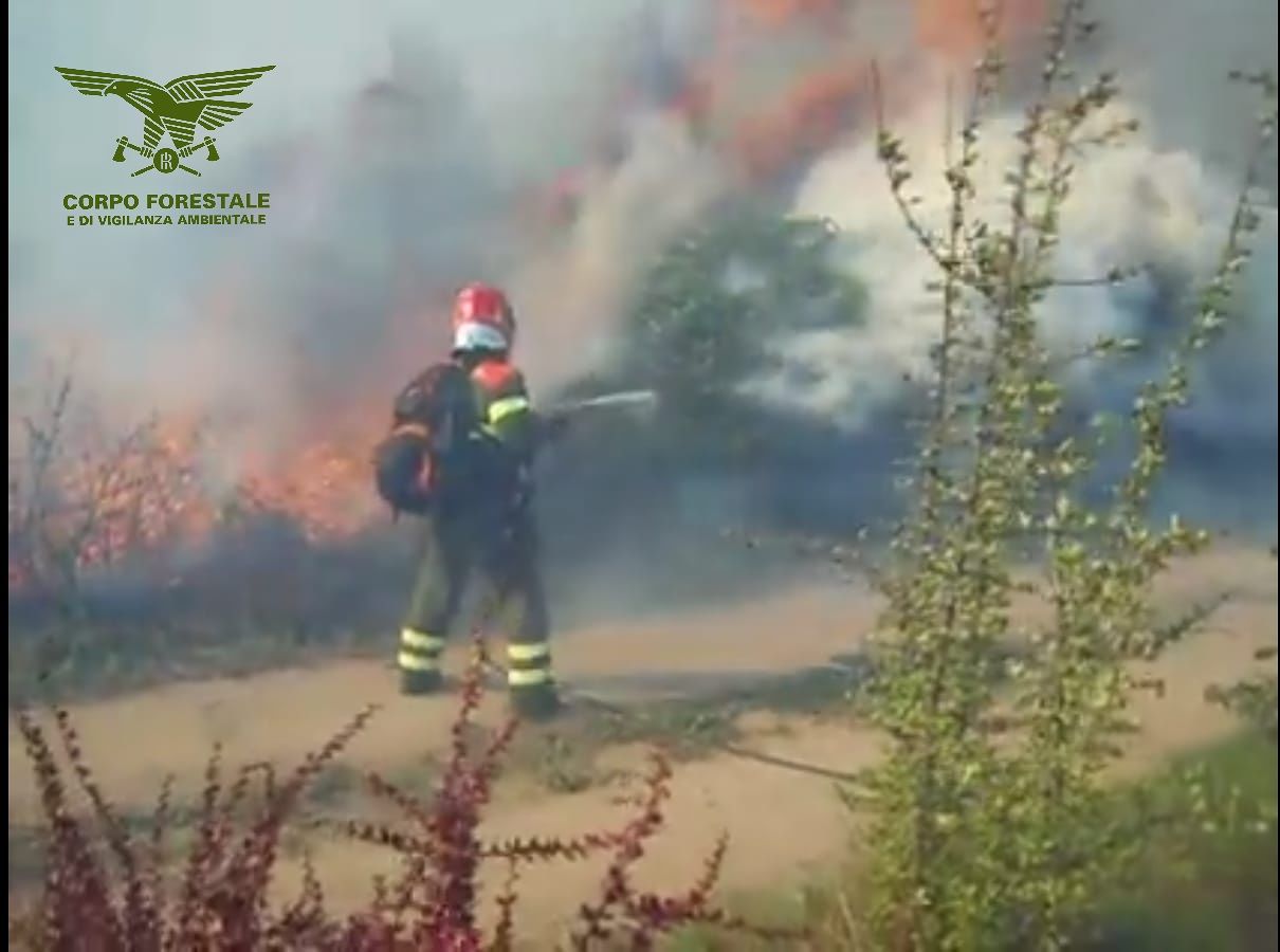 Vasto incendio nelle campagne di Tramatza, mezzi della Forestale in azione