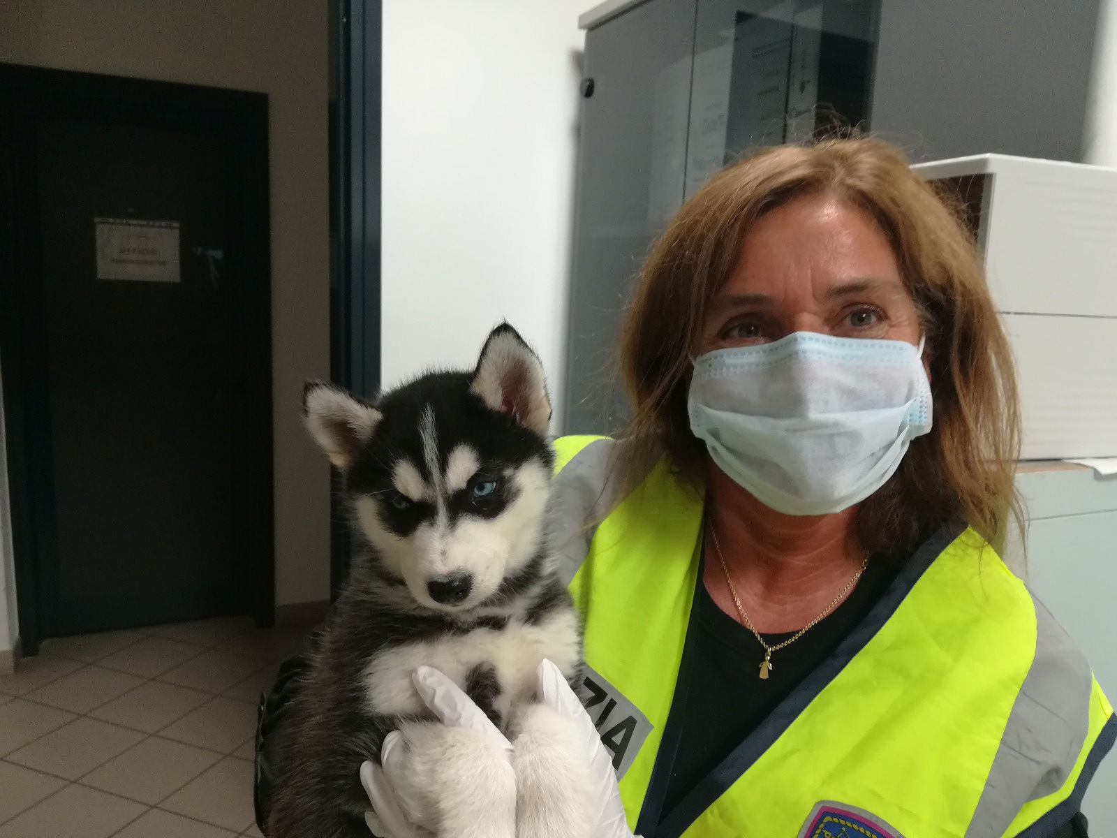 Dall’Est Europa 39 cuccioli di razza stipati in un furgone per essere venduti sottocosto: interviene la Polizia
