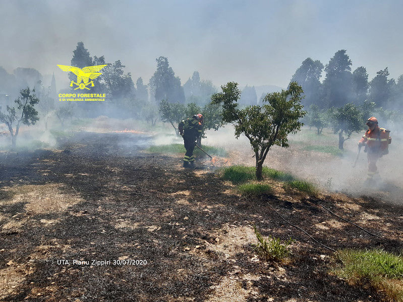 Giornata di fuoco in Sardegna, 21 incendi: strage di animali a Uta