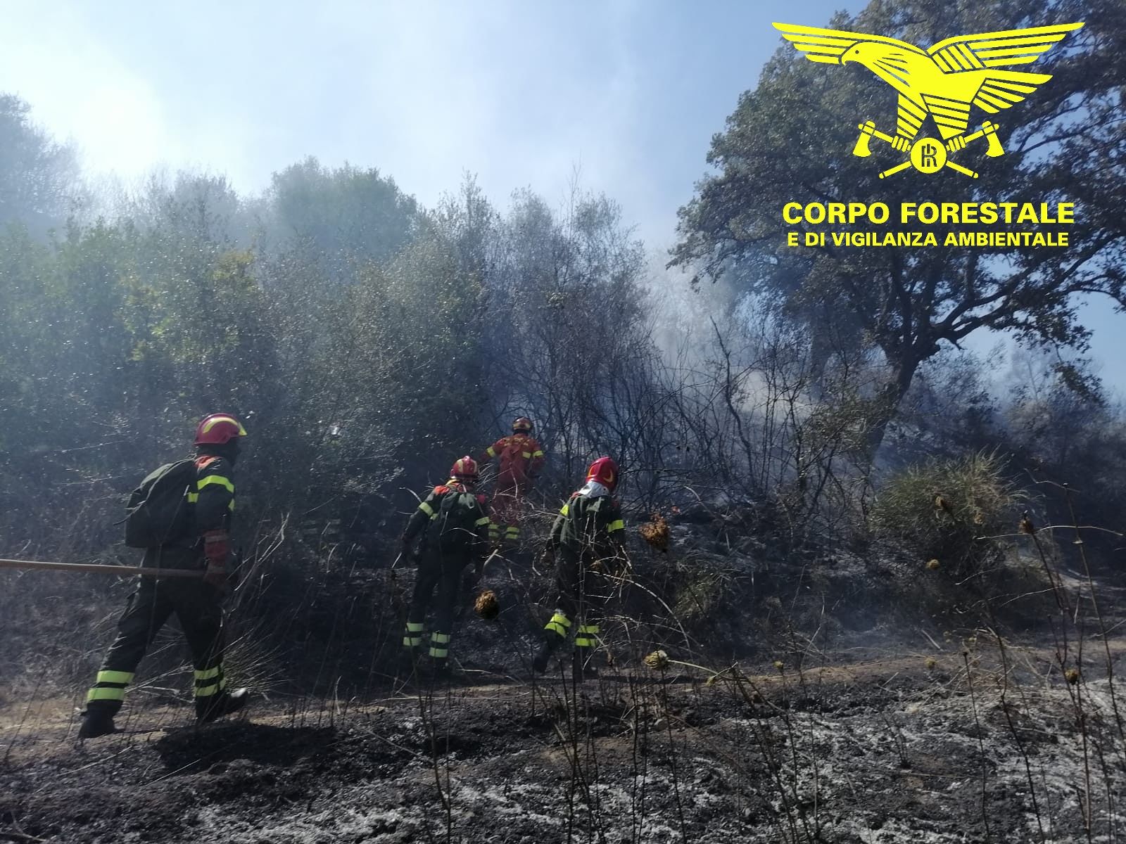 Vento e fuoco in Sardegna: oggi spenti 22 incendi nell’Isola