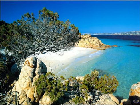 Pesca di aragoste in area proibita, maxi sequestro di nasse nel parco di La Maddalena