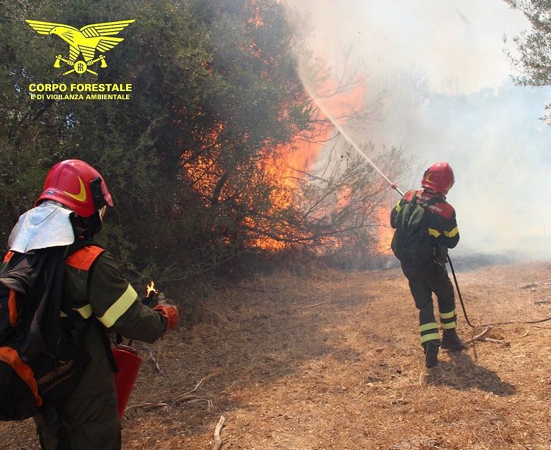 Giornata di fuoco in Sardegna, spenti oggi 17 incendi