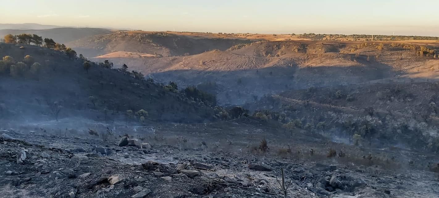 Mandas, la conta dei danni del devastante incendio: “Una paradura ambientale per rinascere”