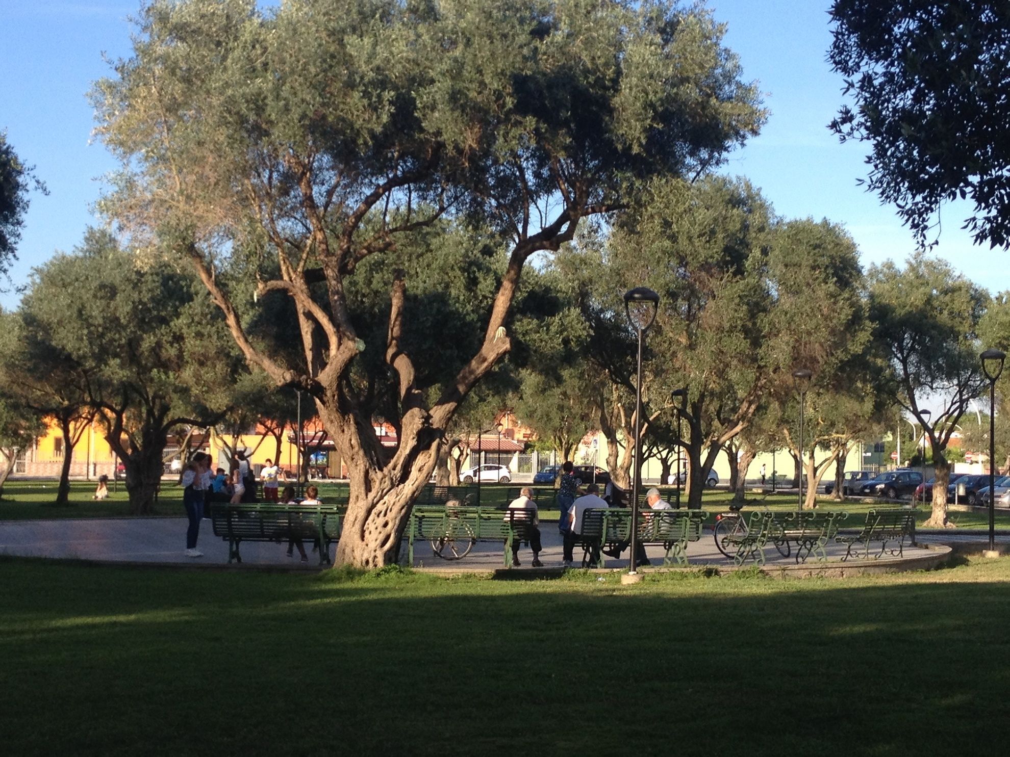 Violenza a Uta, gruppo di ragazzini aggredisce gli anziani nel parco: feriti due nonnini