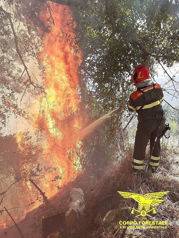 Fuoco in Sardegna, oggi 21 incendi: fiamme a Maracalagonis e San Gavino