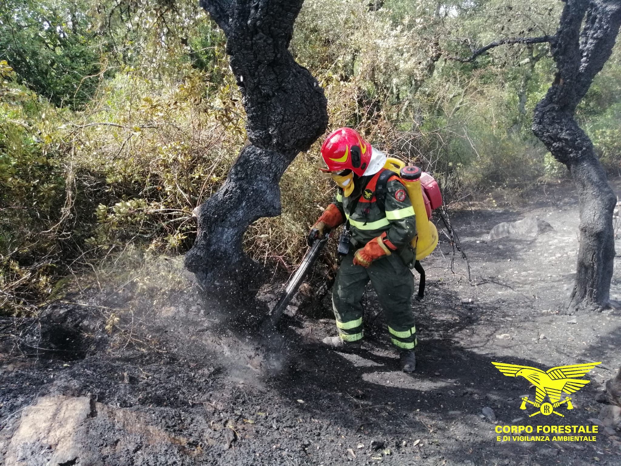 Fiamme nelle campagne di Bono, domenica di fuoco: arriva l’elicottero