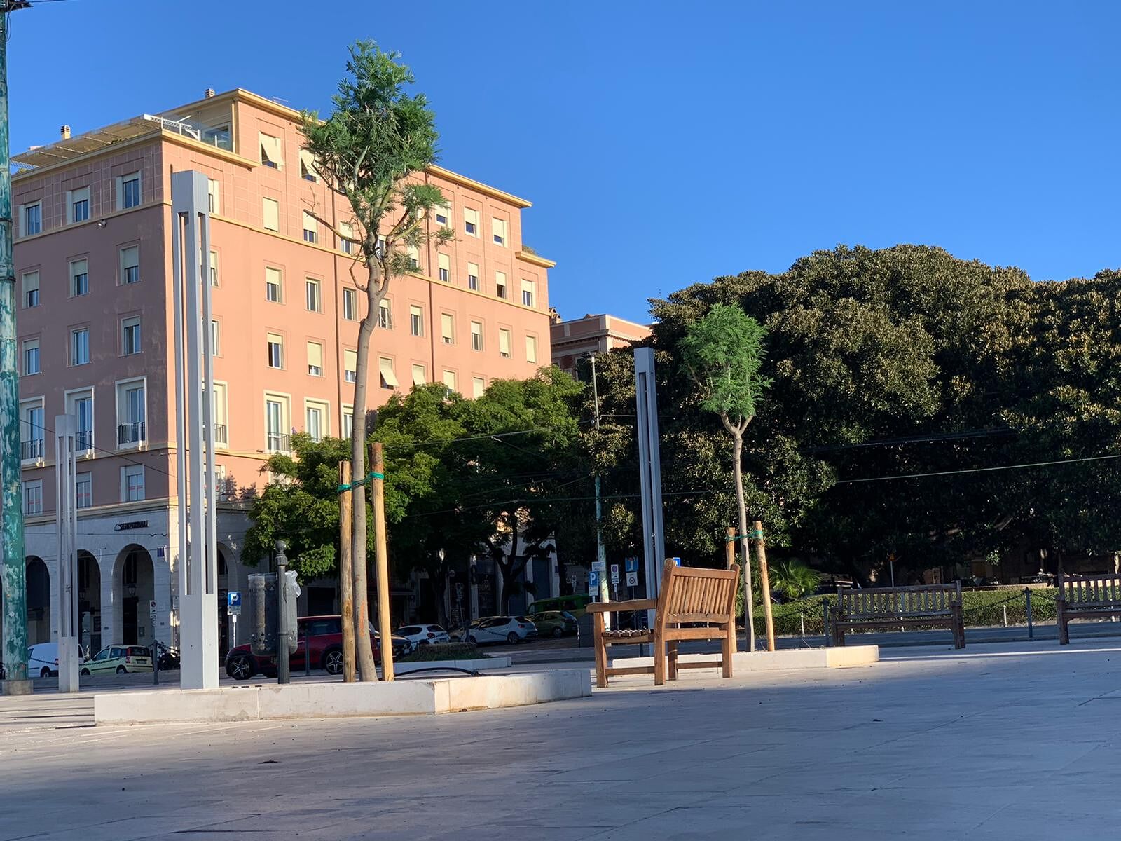 Cagliari, addio palme in via Roma: già piantate 7 nuove jacarande 