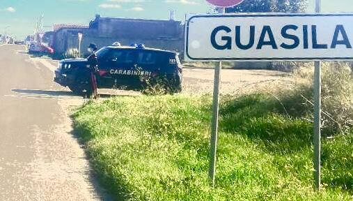 Guasila, una Golf e una Punto investono un gregge di pecore: uccisi una decina di animali