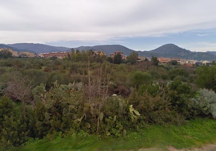 Va a funghi e trova un teschio e delle ossa, macabra scoperta a San Vito