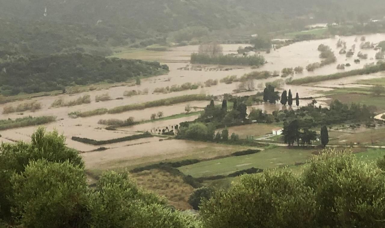 Giuseppe Mannu, 55 anni: “Era un socio Coldiretti l’allevatore morto a Bitti: altri pastori sono isolati”