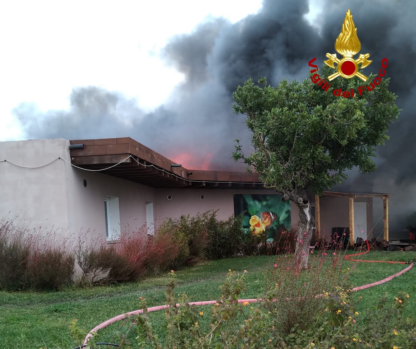Fuoco e paura nella Butterfly House Sardegna, la “casa delle farfalle” di Olmedo