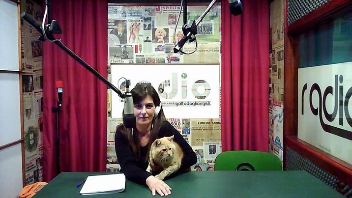 Rhum ospite di Radio Zampetta Sarda: il gattone con un problema neurologico adottato grazie a Radio Casteddu