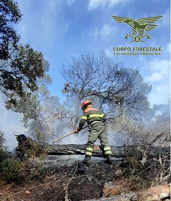 Ancora fiamme in Sardegna: oggi sei incendi