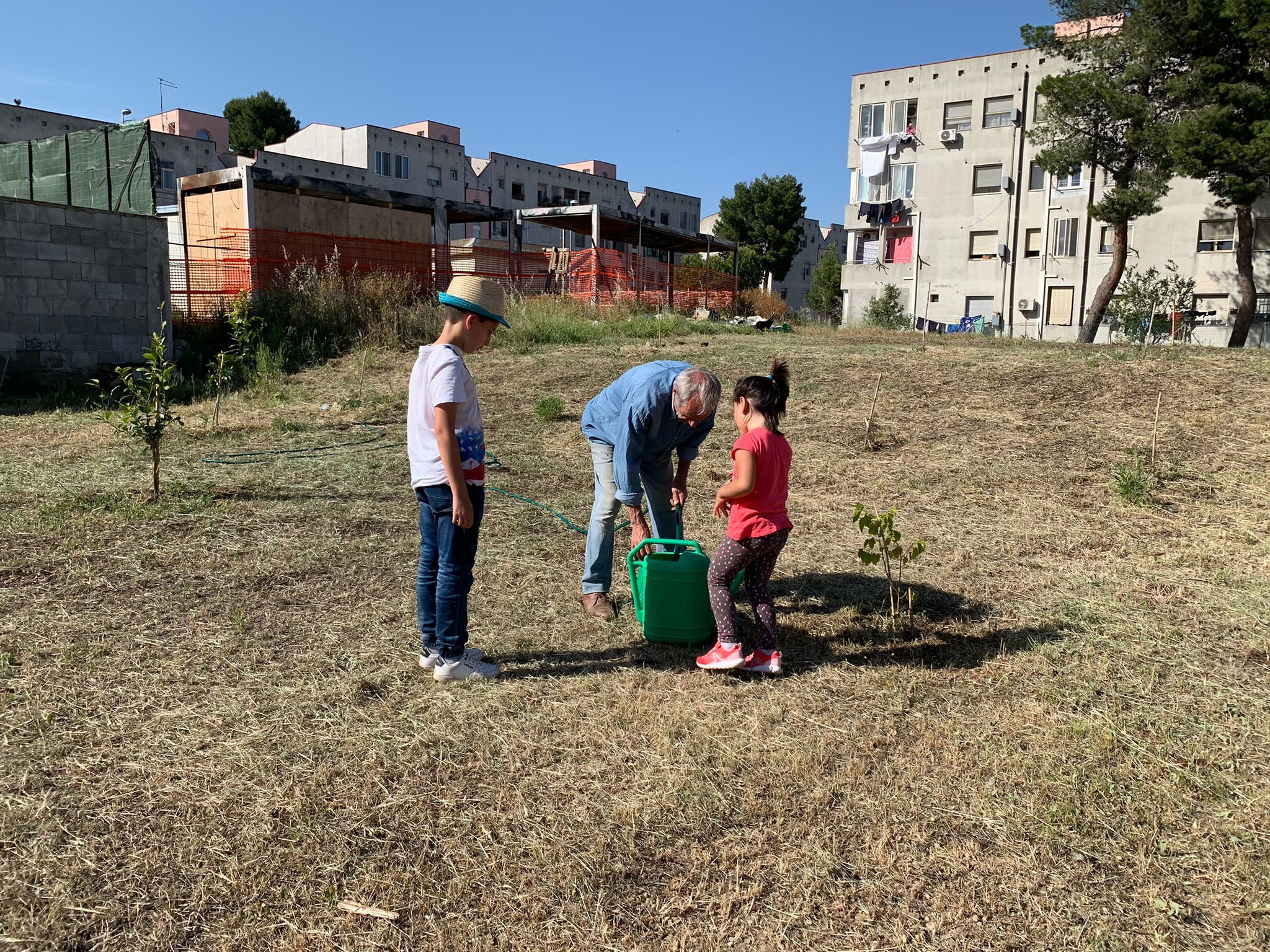 Cinquanta alberi per Pirri, la bella iniziativa del comitato “I bambini che piantano alberi” a Cagliari
