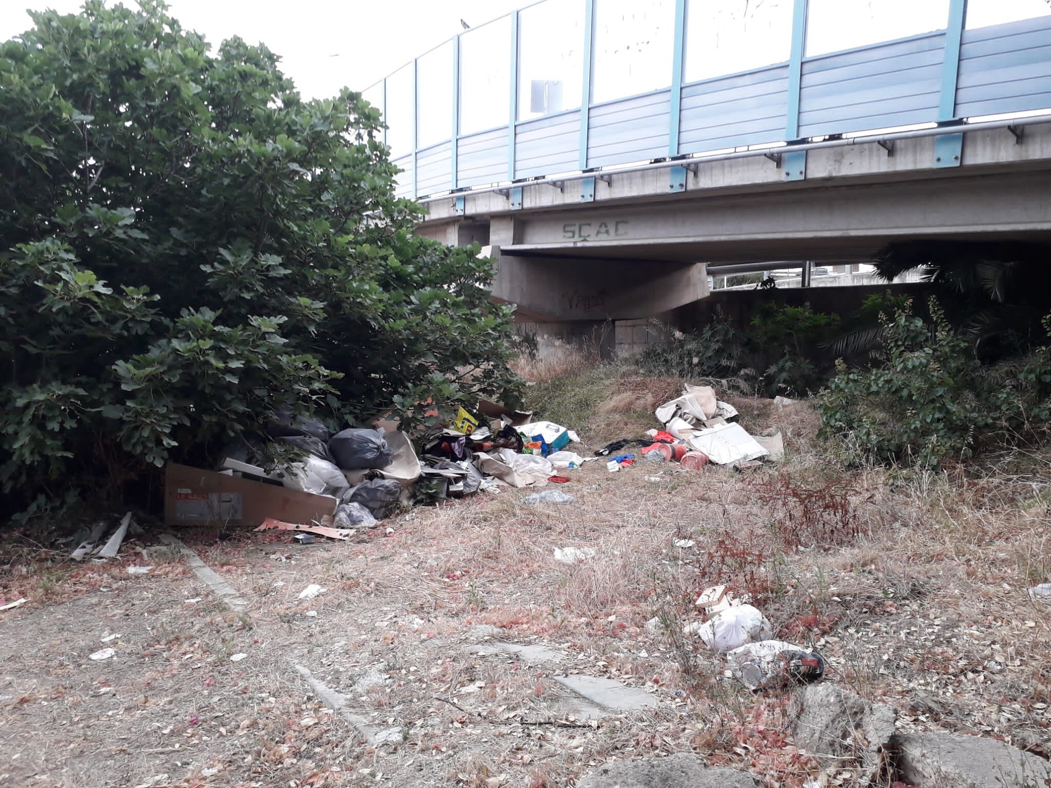 Cagliari, scempio sotto l’Asse Mediano: “Cimitero di rifiuti e siringhe, il Comune ha tolto i cestini”