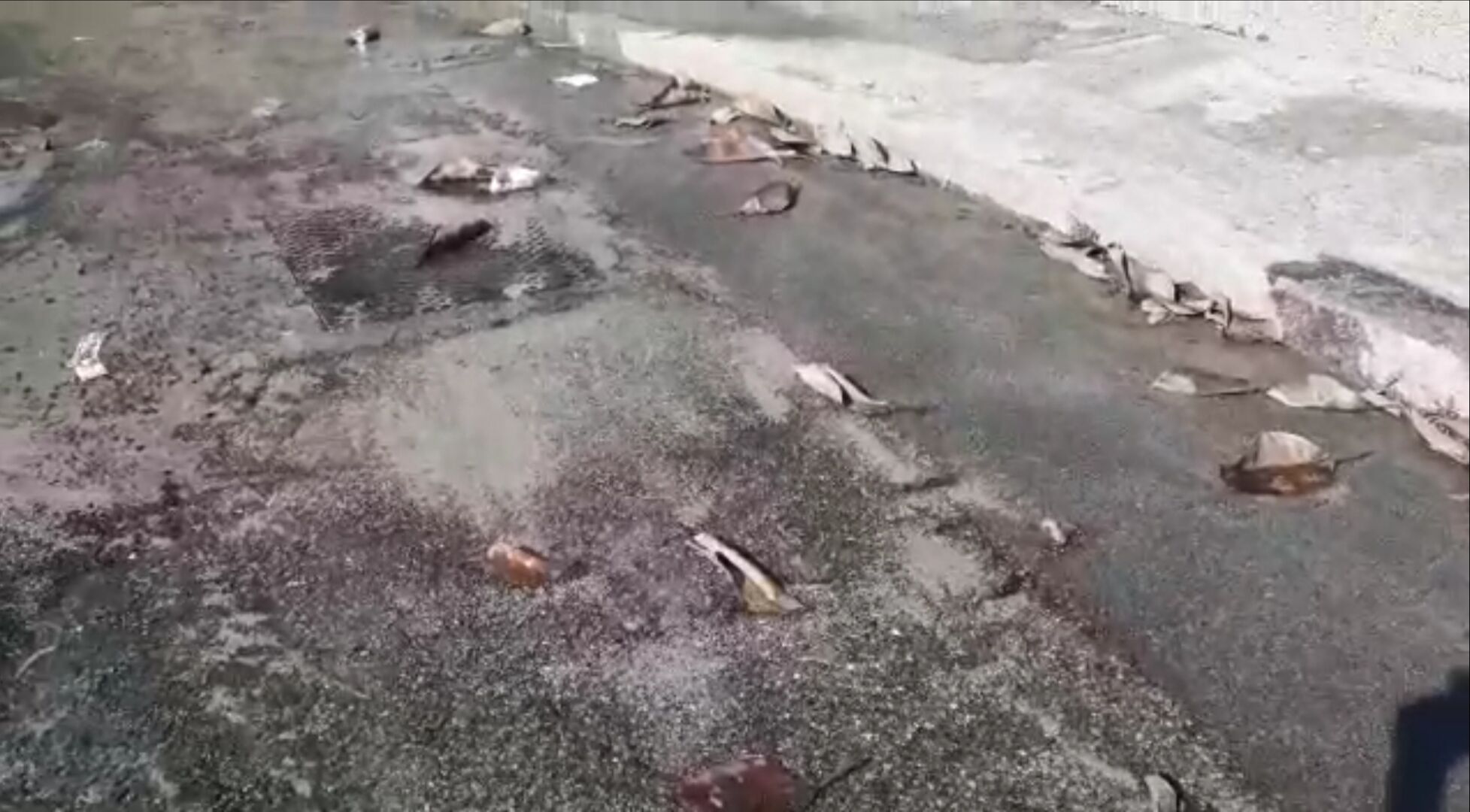 Perdita con fiume d’acqua lungo 200 metri a Cagliari, “spreco assurdo”