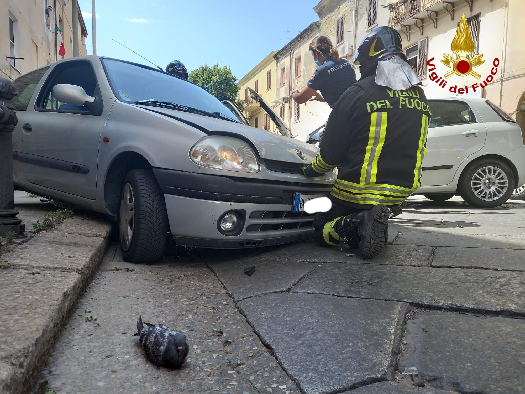 Piccione entra in un’auto, il guidatore sbanda e si schianta contro un’altra macchina